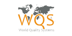 world quality systems logo 2
